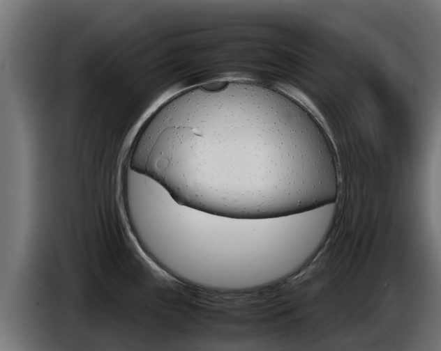 X0000086771243200704130829