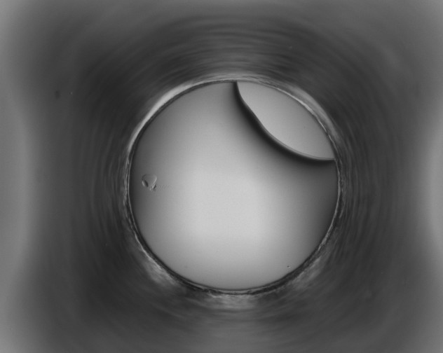 X0000086771244200704130829