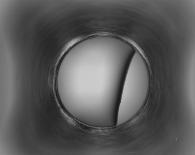 X0000086771245200704130829
