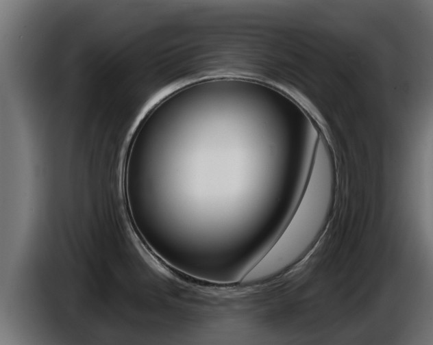 X0000086771246200704130829