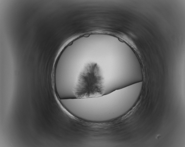 X0000086771247200704130829
