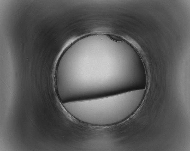 X0000086771248200704130829