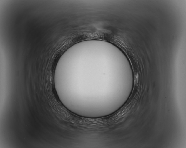 X0000086771251200704130829