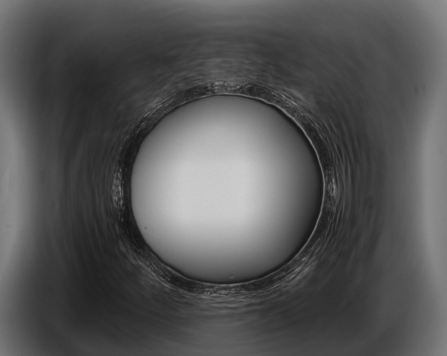 X0000086771252200704130829
