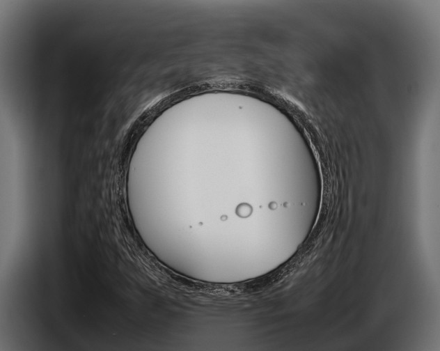 X0000086771255200704130829