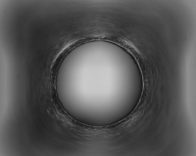 X0000086771256200704130829