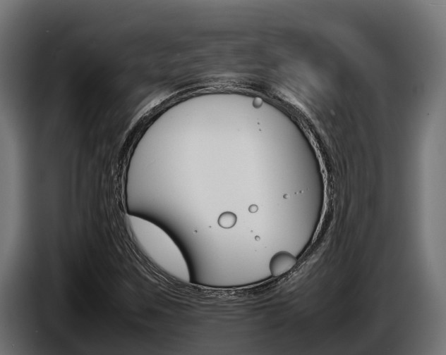 X0000086771259200704130828