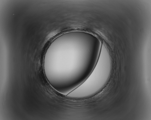 X0000086771261200704130828