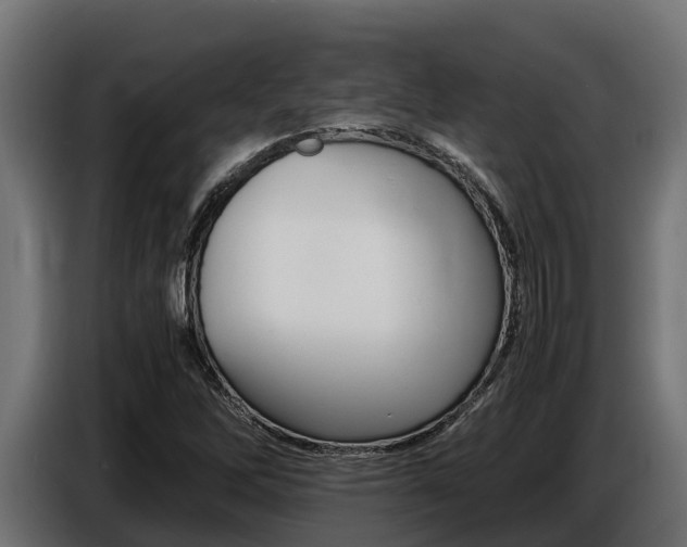 X0000086771262200704130828