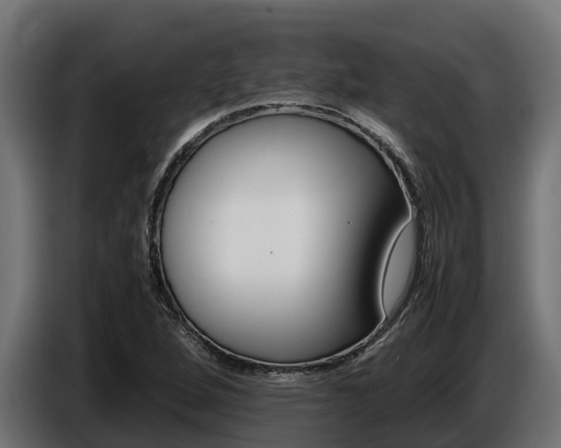 X0000086771264200704130828