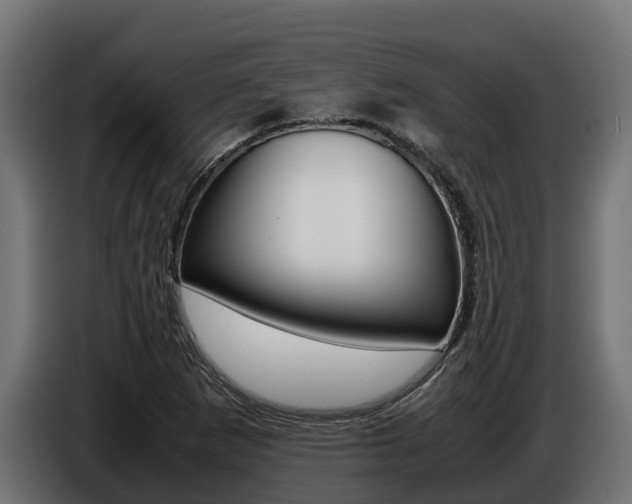 X0000086771265200704130828