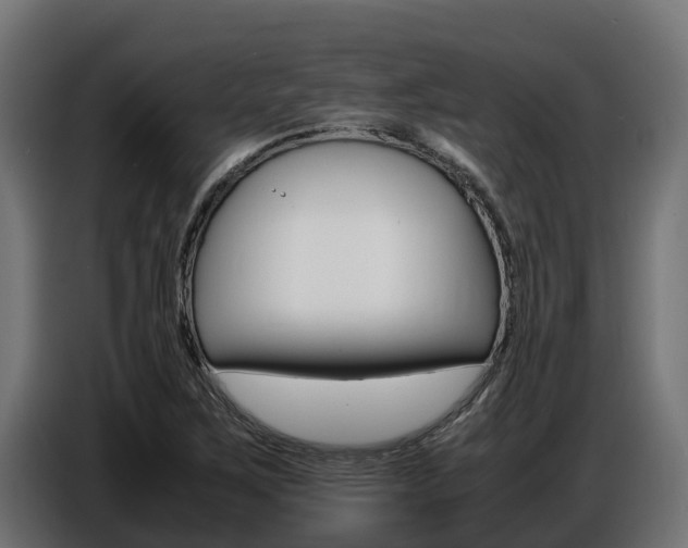 X0000086771267200704130828