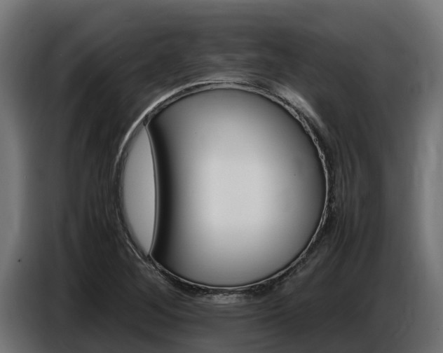 X0000086771268200704130828