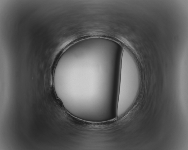 X0000086771269200704130828