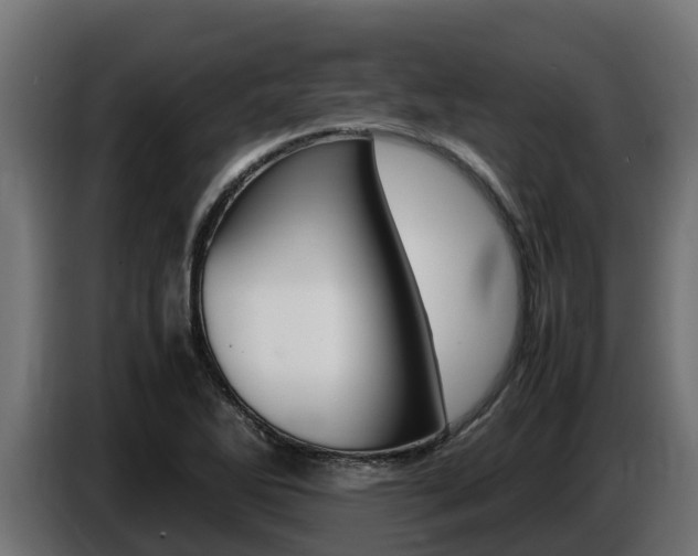 X0000086771270200704130828