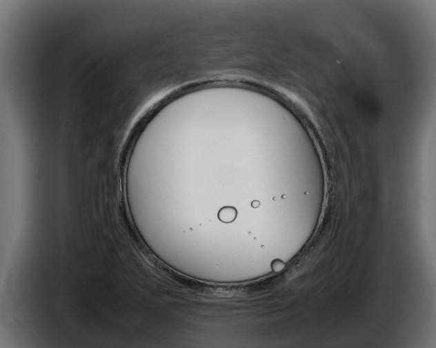 X0000086771271200704130828