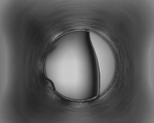 X0000086771273200704130828