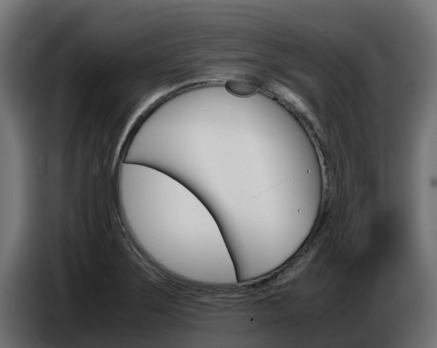 X0000086771275200704130828