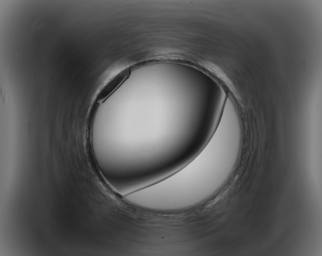 X0000086771277200704130828