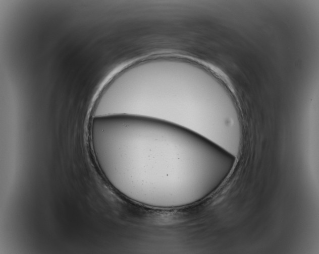 X0000086771279200704130828