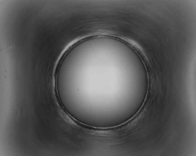 X0000086771280200704130828