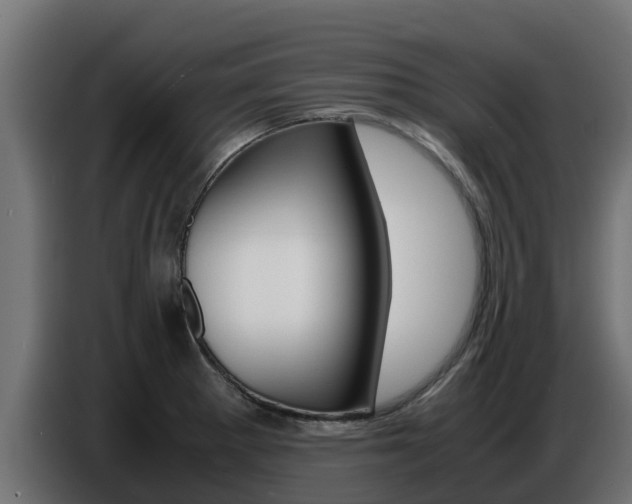 X0000086771281200704130828