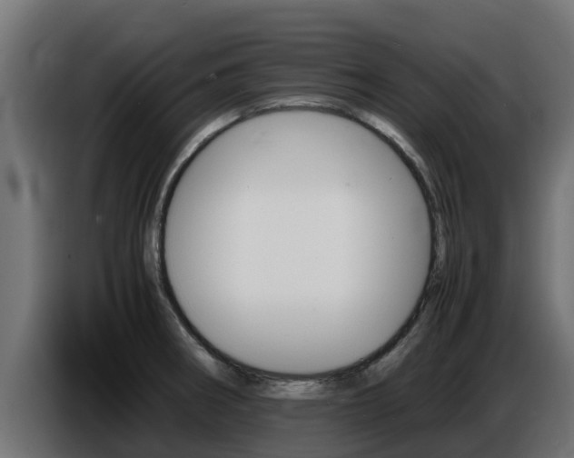 X0000086771282200704130828