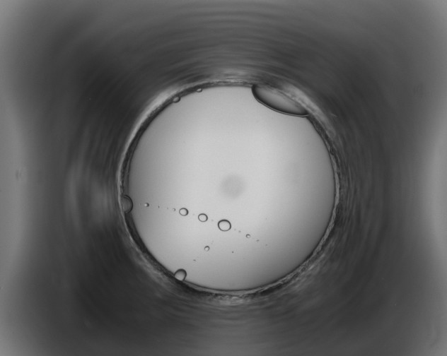 X0000086771283200704130828
