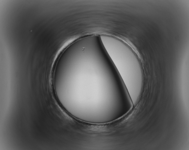X0000086771285200704130828