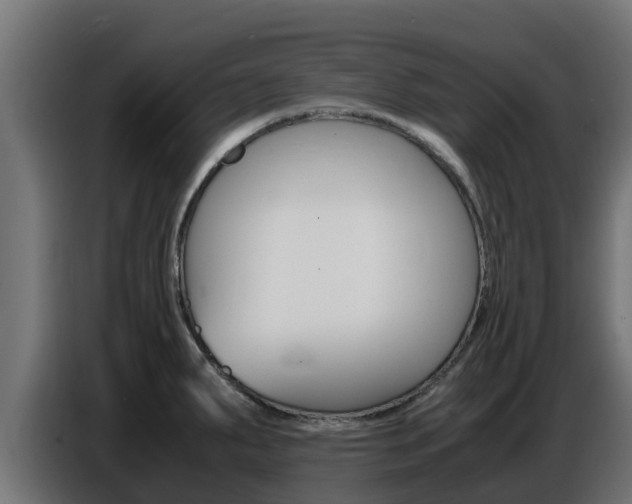 X0000086771287200704130828