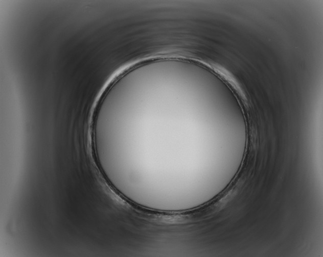 X0000086771288200704130828