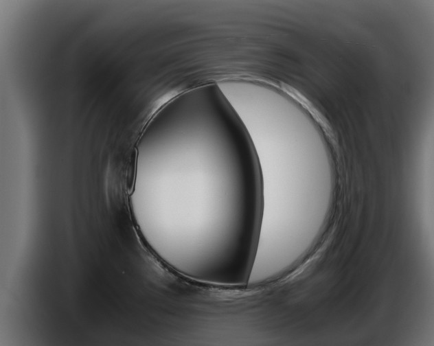 X0000086771289200704130828