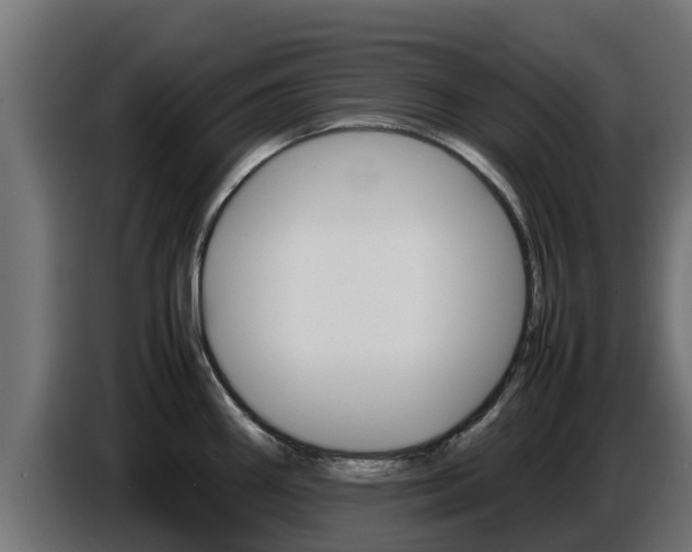 X0000086771290200704130828