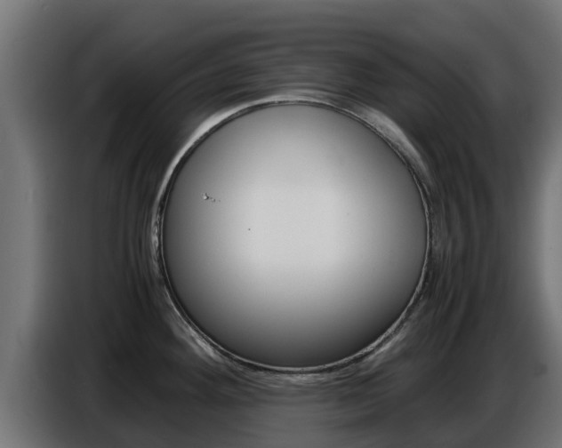 X0000086771292200704130828