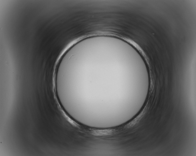 X0000086771294200704130828