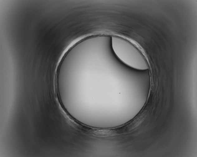 X0000086771295200704130828