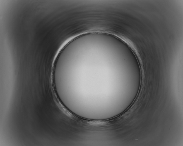 X0000086771296200704130828