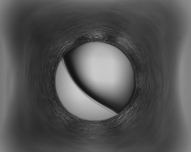 X0000086771297200704130827
