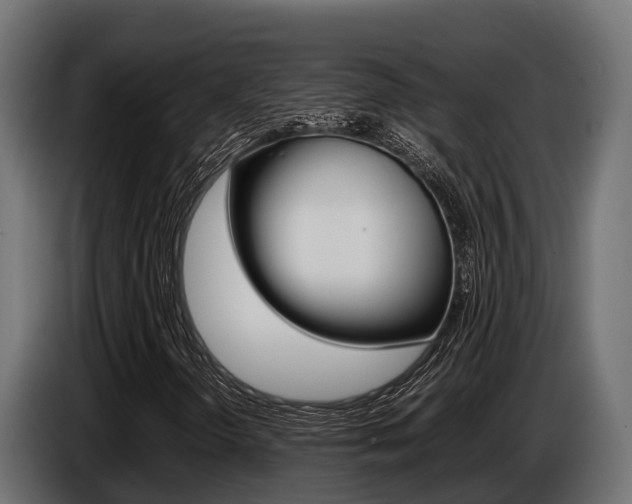 X0000086771298200704130827