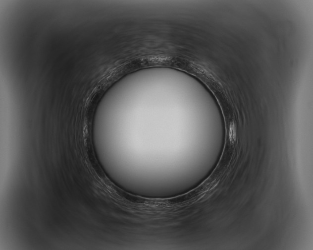 X0000086771299200704130827