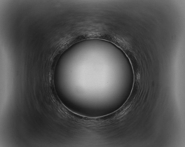 X0000086771300200704130827