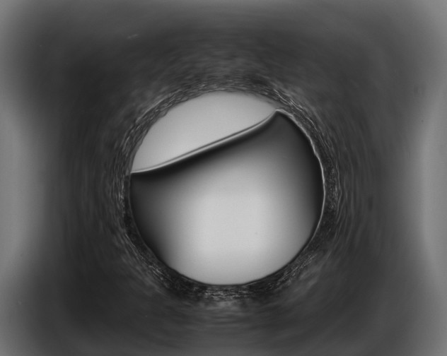 X0000086771301200704130827