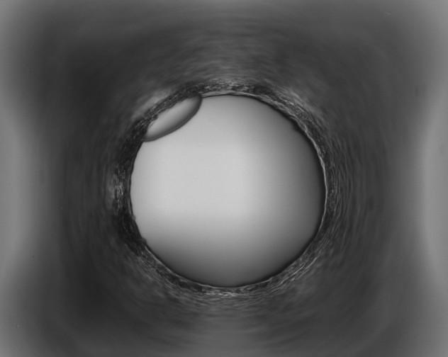 X0000086771302200704130827