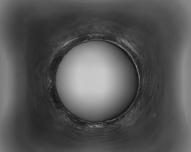 X0000086771303200704130827