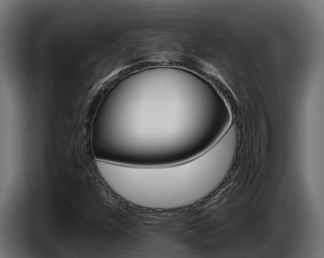 X0000086771304200704130827
