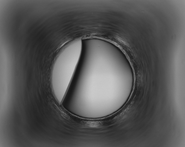 X0000086771305200704130827