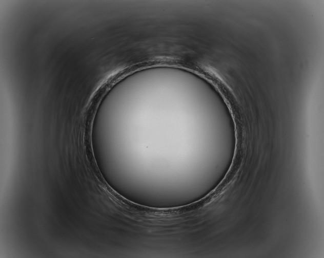 X0000086771307200704130827