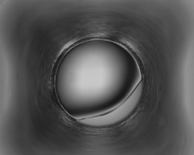 X0000086771308200704130827