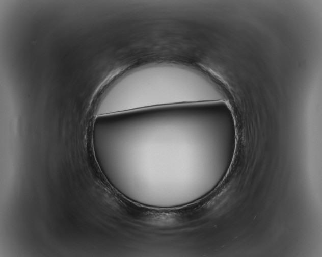 X0000086771309200704130827