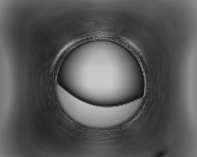 X0000086771310200704130827